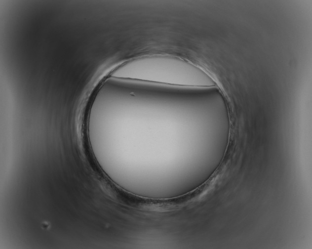 X0000088230103200705151057