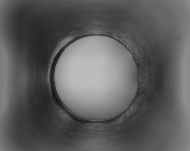 X0000088230104200705151057