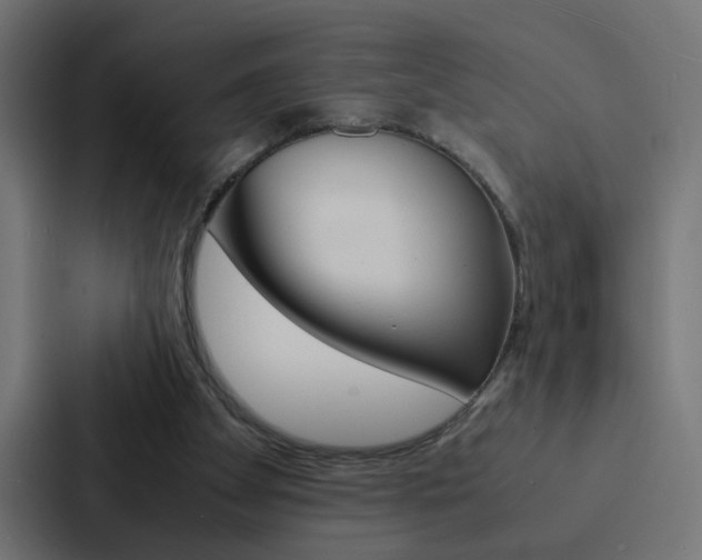 X0000088230105200705151057