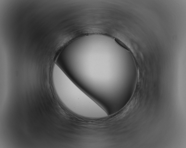 X0000088230109200705151057