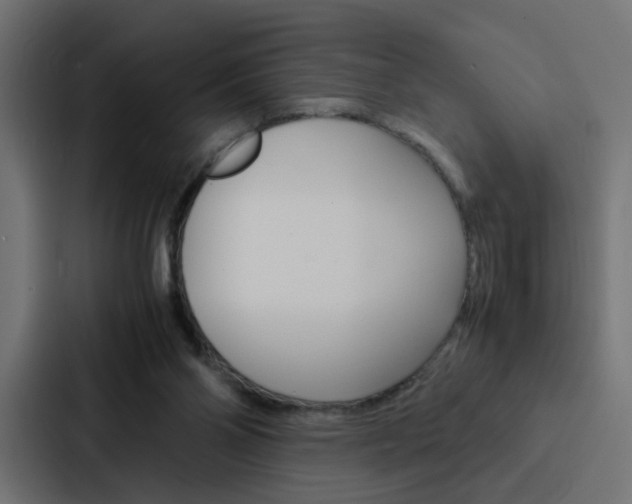 X0000088230110200705151057