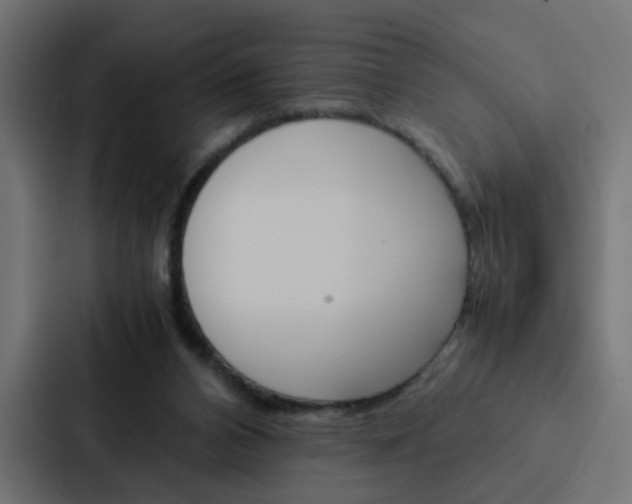 X0000088230112200705151057