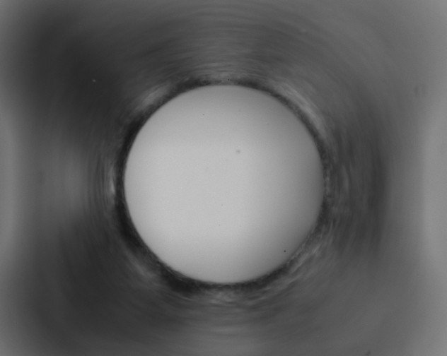 X0000088230115200705151056