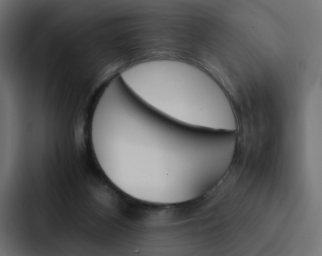 X0000088230116200705151056