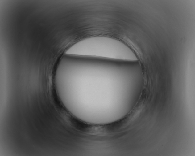 X0000088230117200705151056