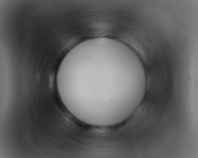 X0000088230118200705151056
