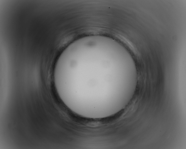 X0000088230119200705151056