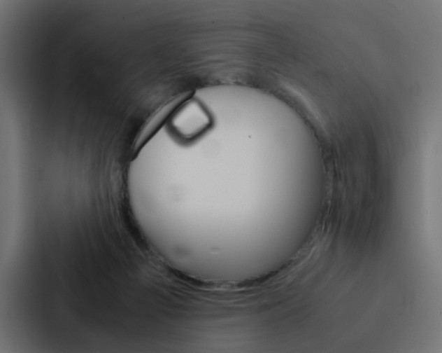 X0000088230121200705151056