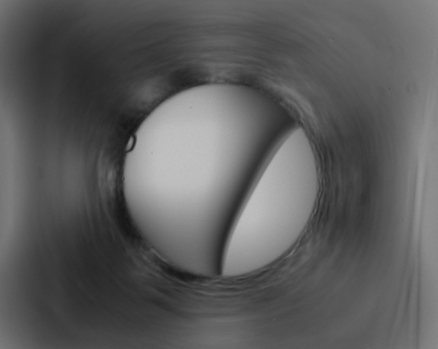 X0000088230123200705151056