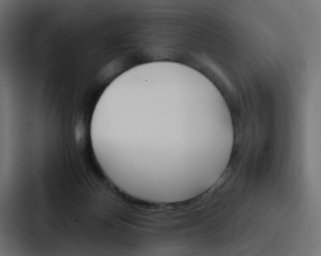 X0000088230124200705151056
