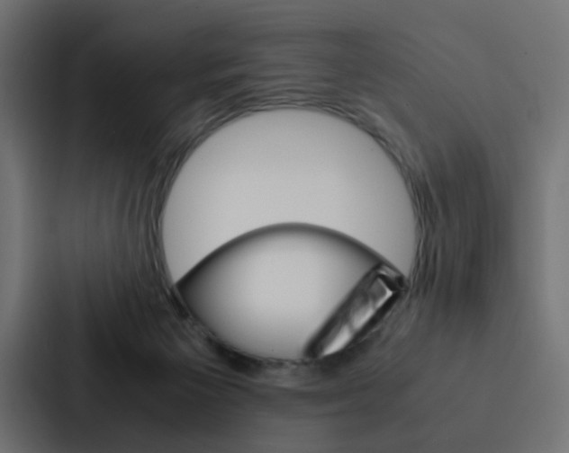 X0000088230125200705151056