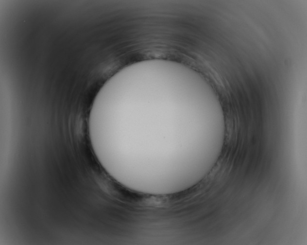 X0000088230126200705151056