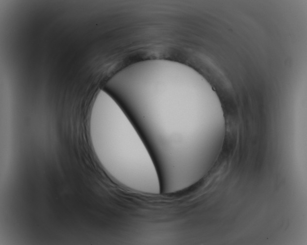 X0000088230127200705151056