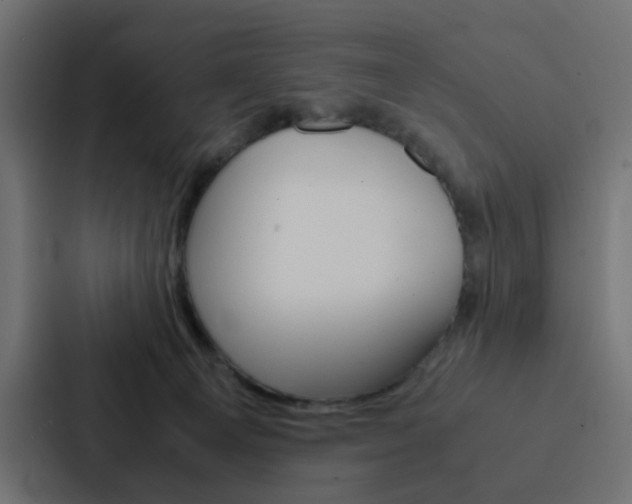 X0000088230129200705151056