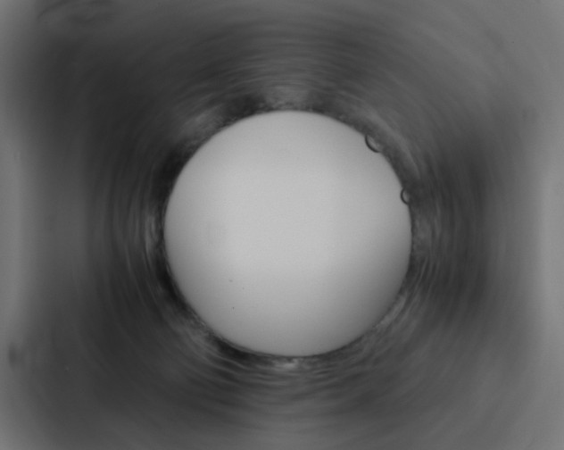 X0000088230130200705151056