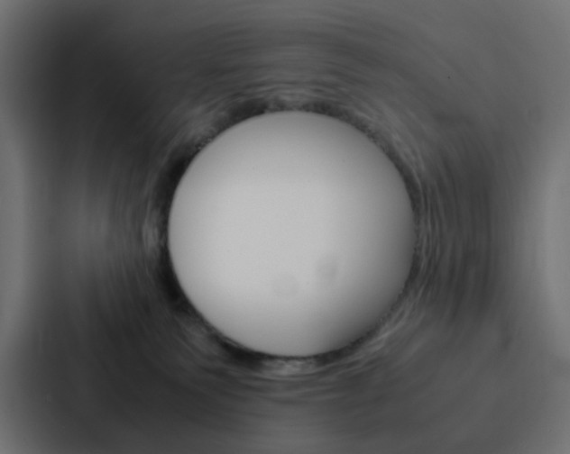 X0000088230135200705151056