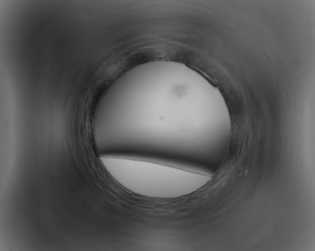 X0000088230137200705151056