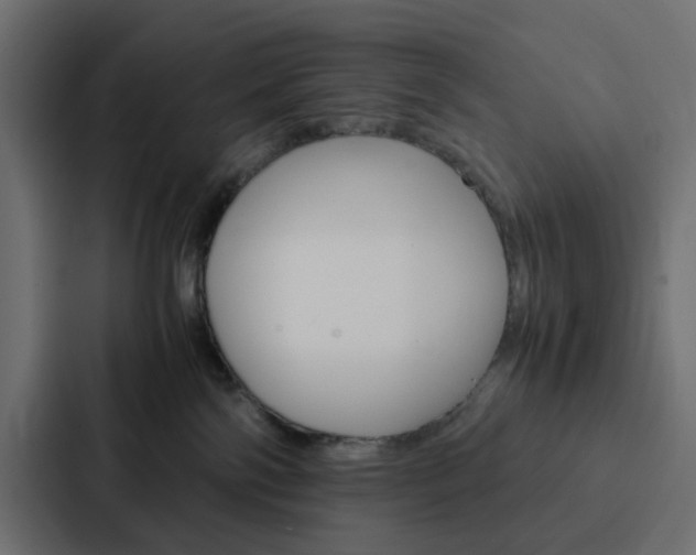 X0000088230138200705151056
