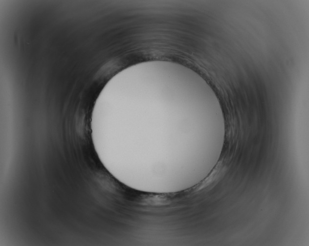 X0000088230140200705151056