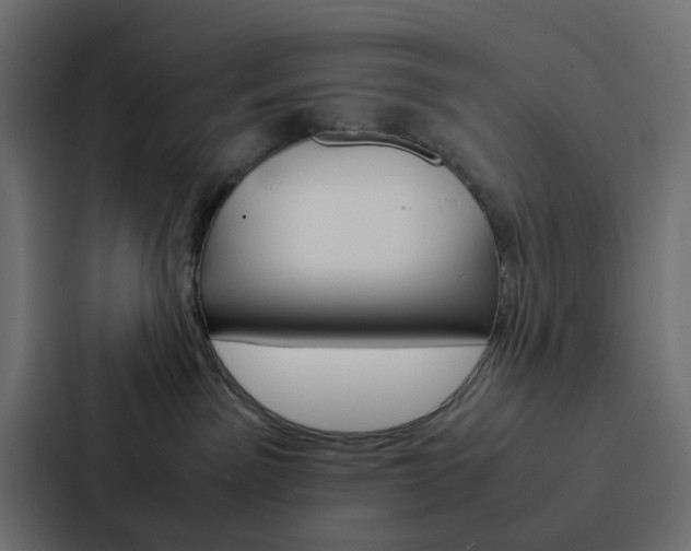 X0000088230141200705151056