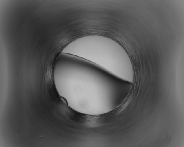 X0000088230143200705151056