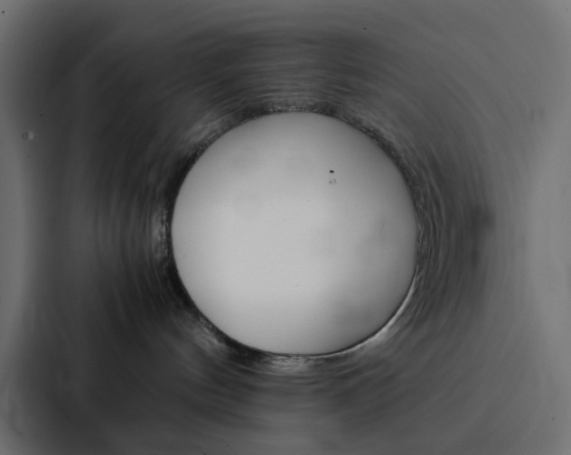 X0000088230144200705151056