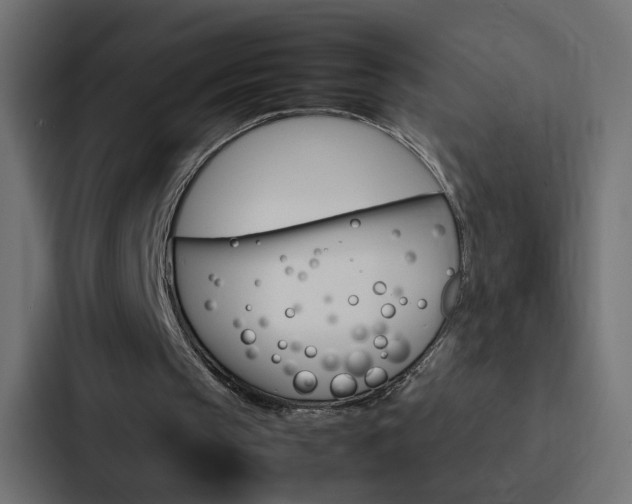 X0000088230145200705151055