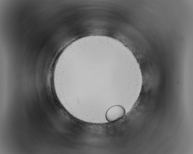 X0000088230146200705151056