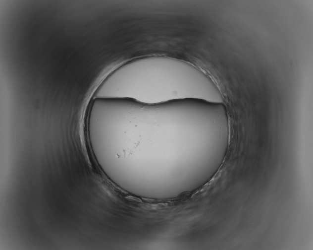 X0000088230147200705151056