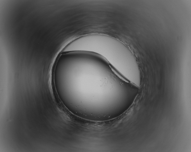 X0000088230148200705151056