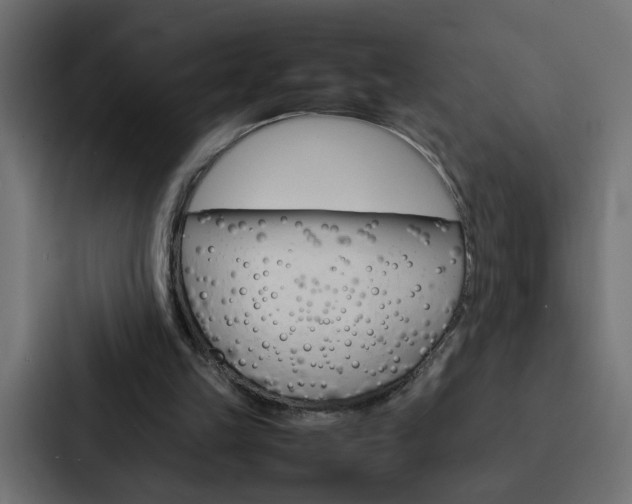 X0000088230149200705151056