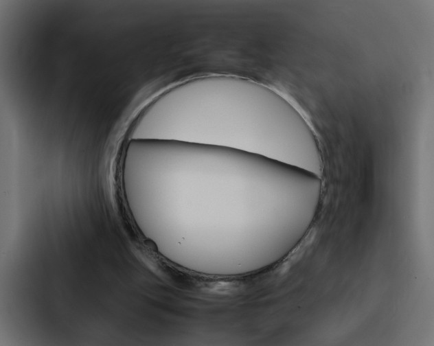 X0000088230151200705151056
