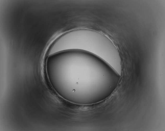X0000088230152200705151056