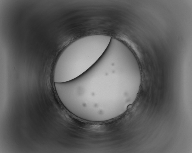 X0000088230153200705151056