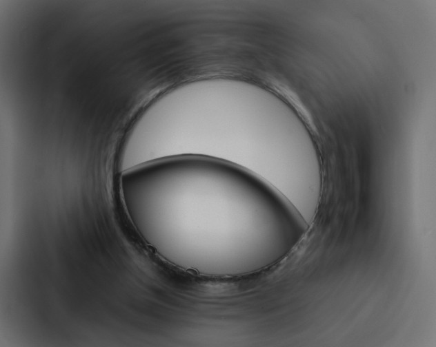X0000088230154200705151056