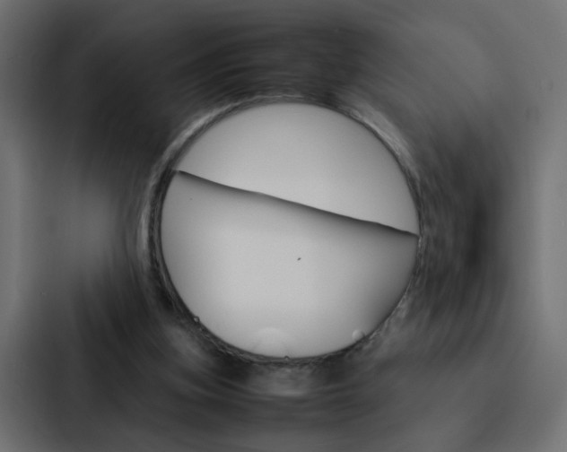 X0000088230155200705151056