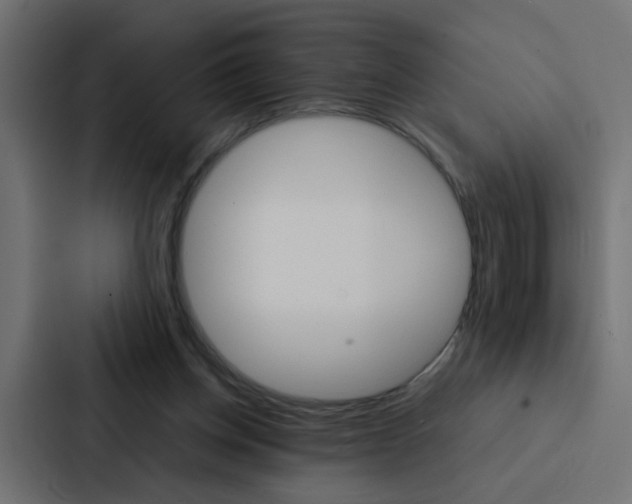 X0000088230158200705151056