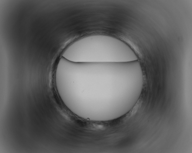 X0000088230159200705151056
