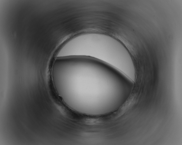 X0000088230160200705151056