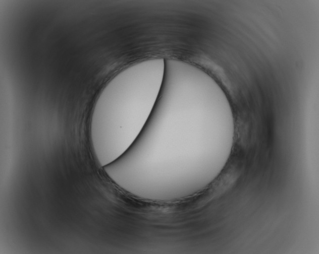 X0000088230161200705151056