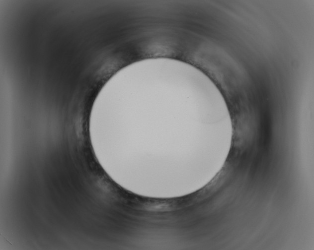 X0000088230162200705151056