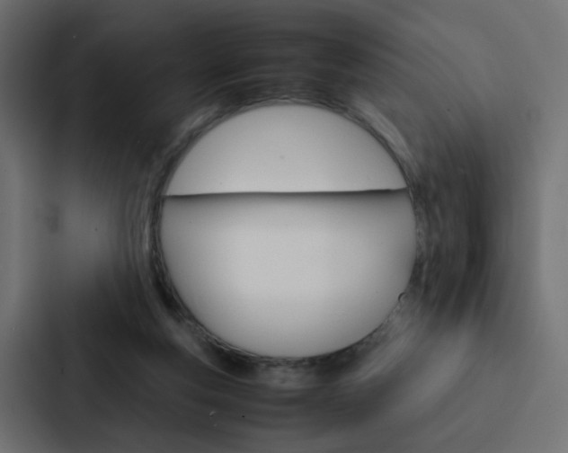 X0000088230163200705151056