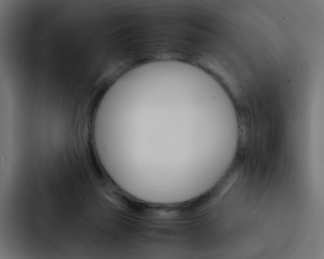 X0000088230165200705151056