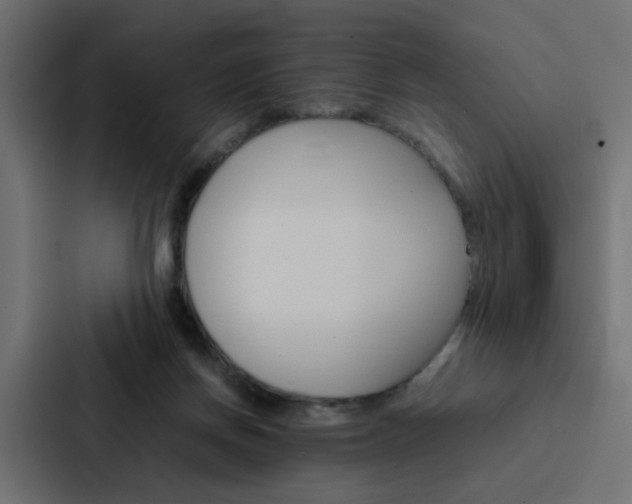 X0000088230166200705151056