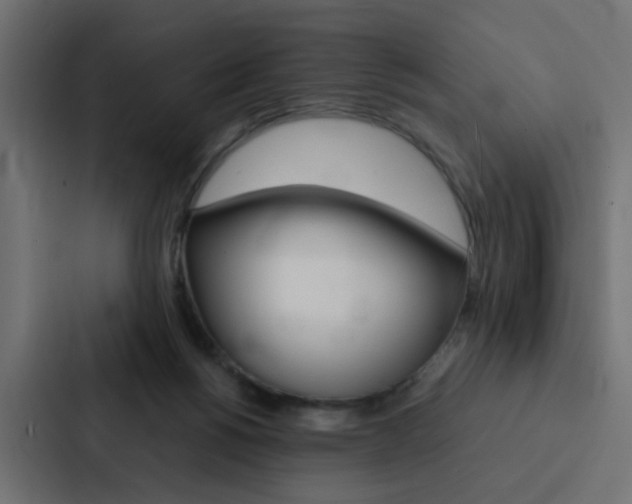 X0000088230168200705151056