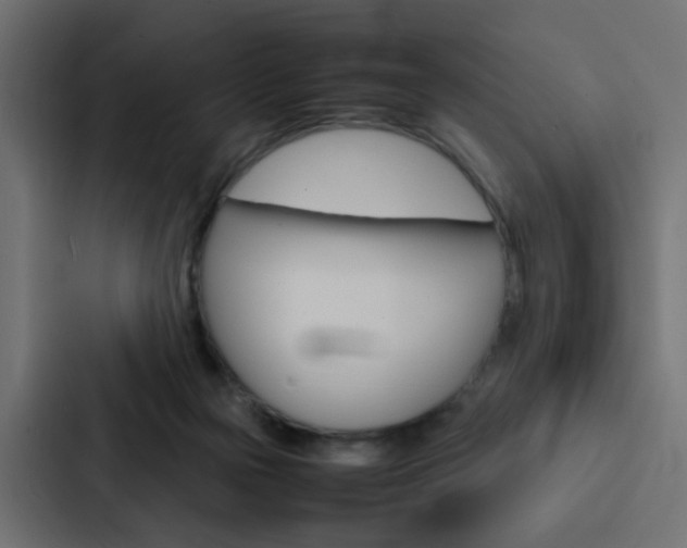X0000088230169200705151056