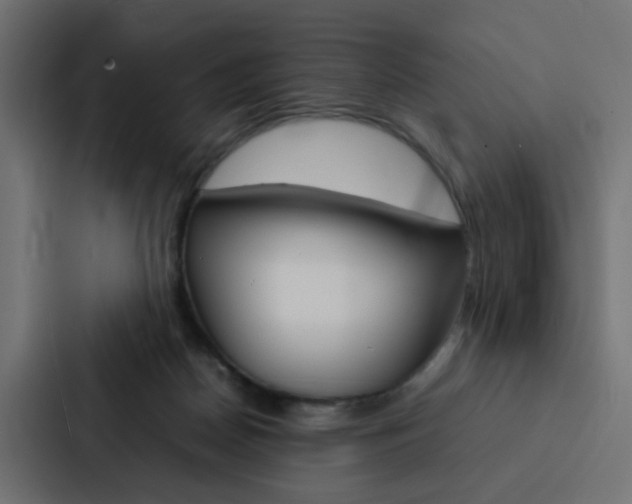 X0000088230170200705151056
