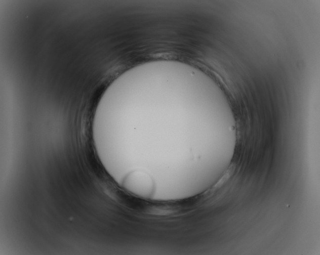 X0000088230171200705151056