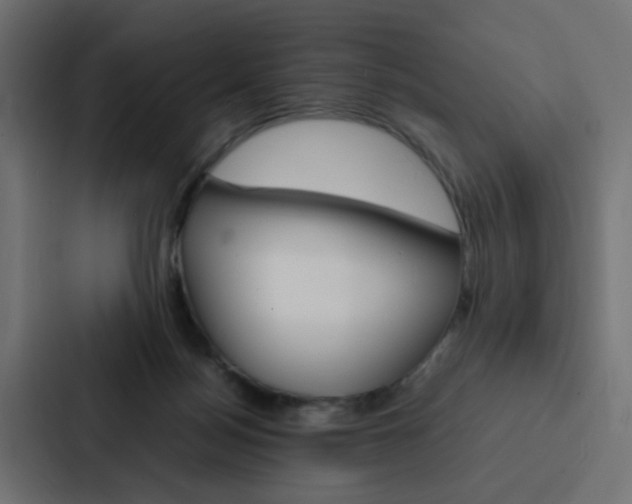 X0000088230172200705151056