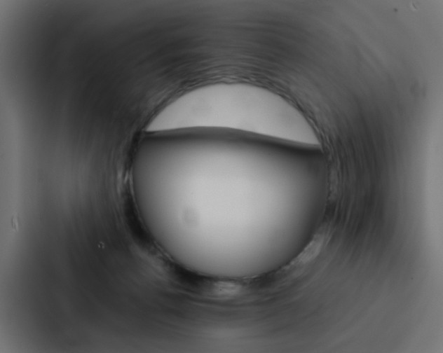 X0000088230176200705151056